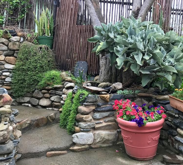 Destiny after a summer rain