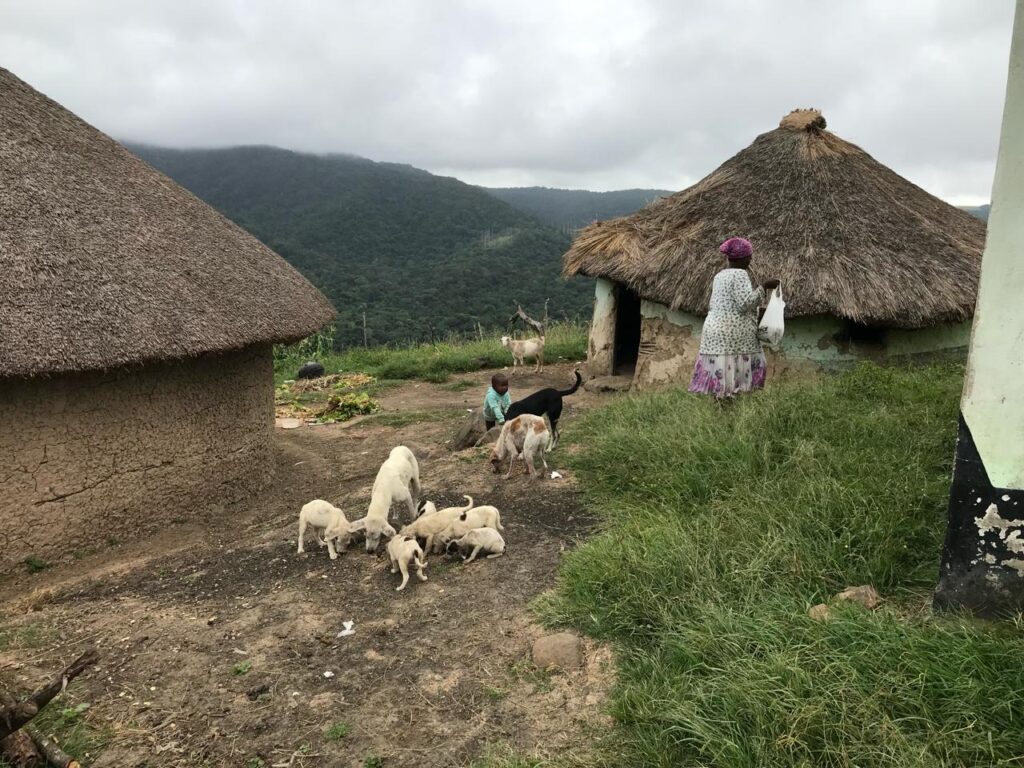 Local Culture Mbotyi Near Destiny Cottage